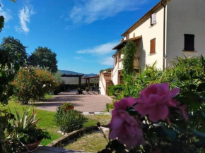 Spacious country house with swimming pool Cingoli